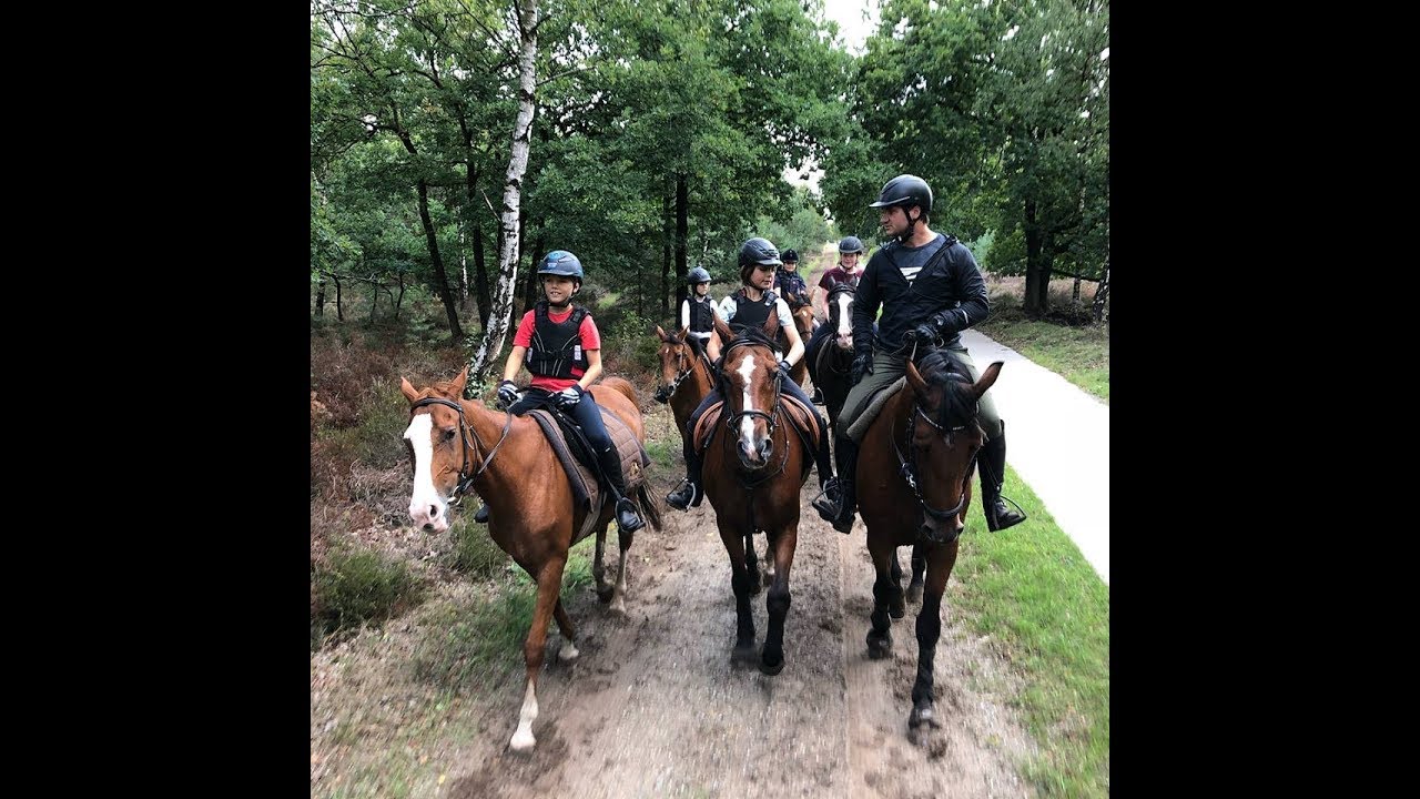 HCM Ponykamp 2018