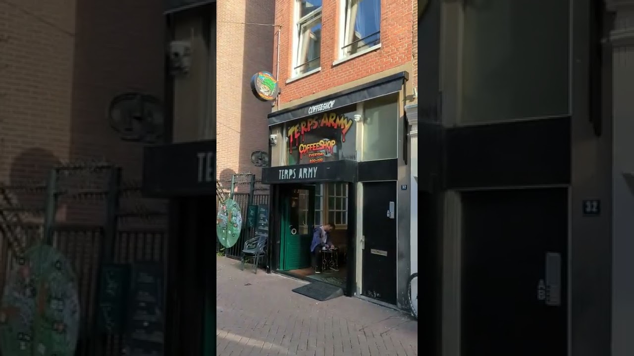 Terps Army - Amsterdam Coffeeshop #Shorts @Terpsarmy