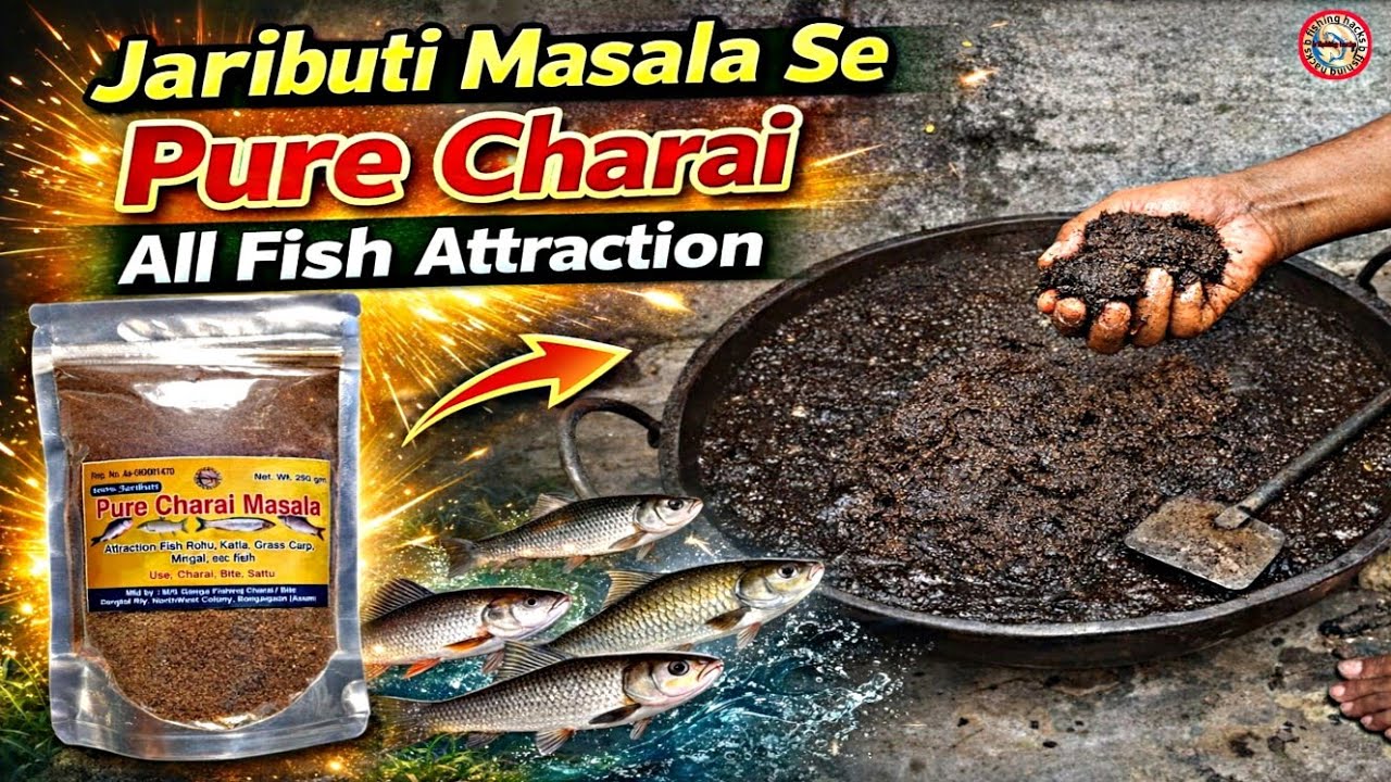 Jaributi Mashala Se Special Charai Bananeka Process All Fish Attraction River Talab Dame Pukhuri ✅️