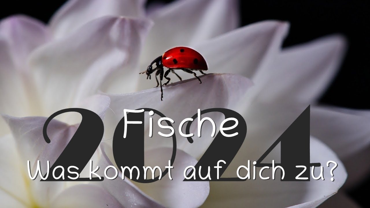 2024 – Was kommt auf dich zu? ⭐️ Fische
