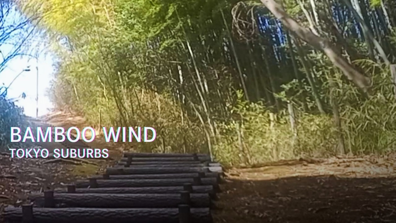 You Are Here – Wind Through a Bamboo Forest in Japan (30 Minutes)