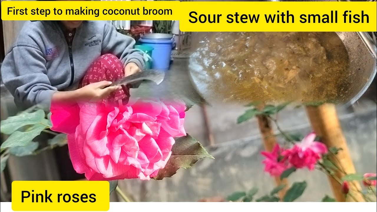 Sour stew// cleaning coconut  leaf stick for broom//mwkwui song mani//wafra sui mani