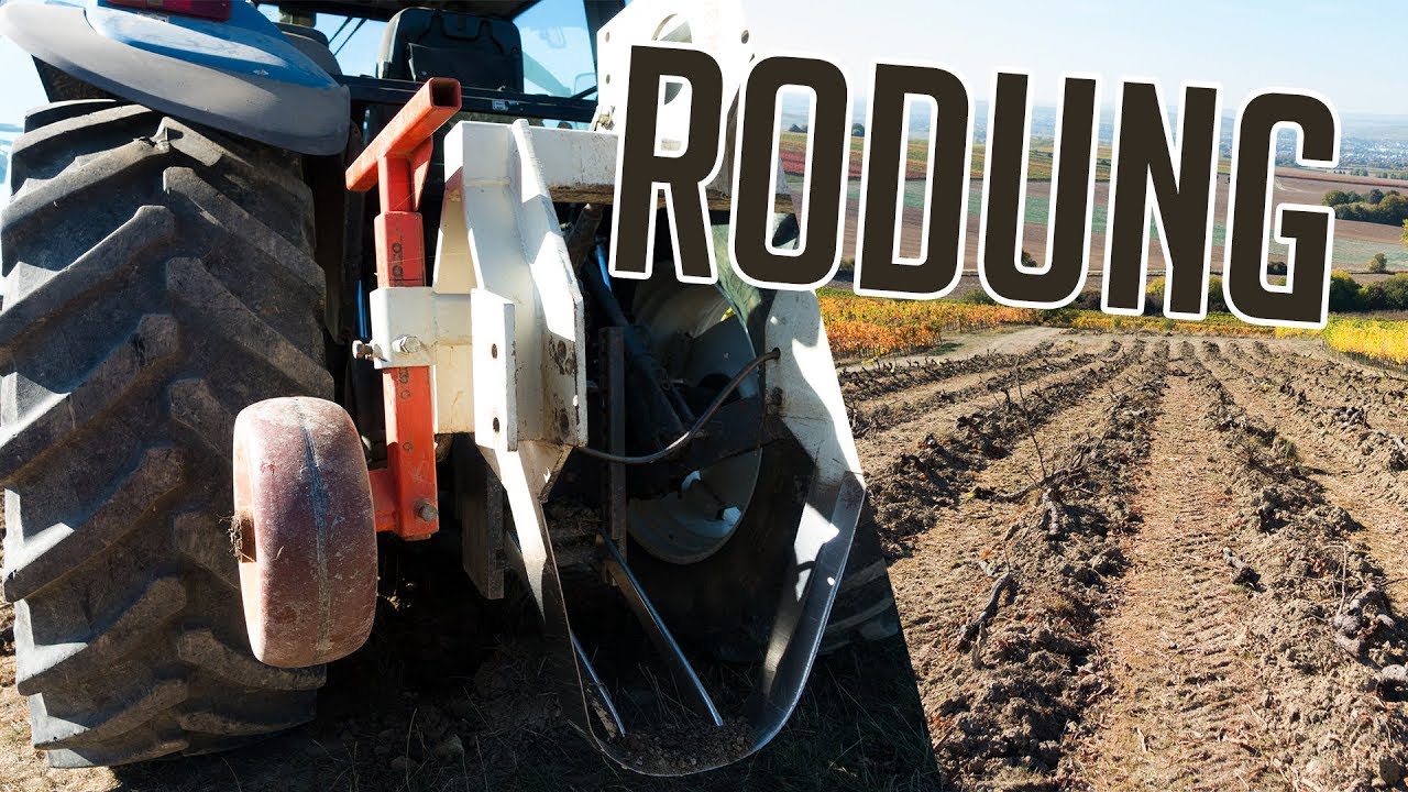 WEINBERG RODEN | RODUNG 2018 | Weinbau | New Holland | Vineyard Removal