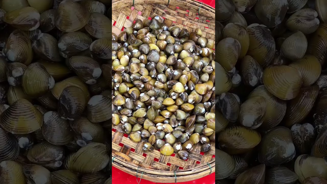 Clams cooking recipes #thecountrysidecuisine #cooking #food #traditionaldish