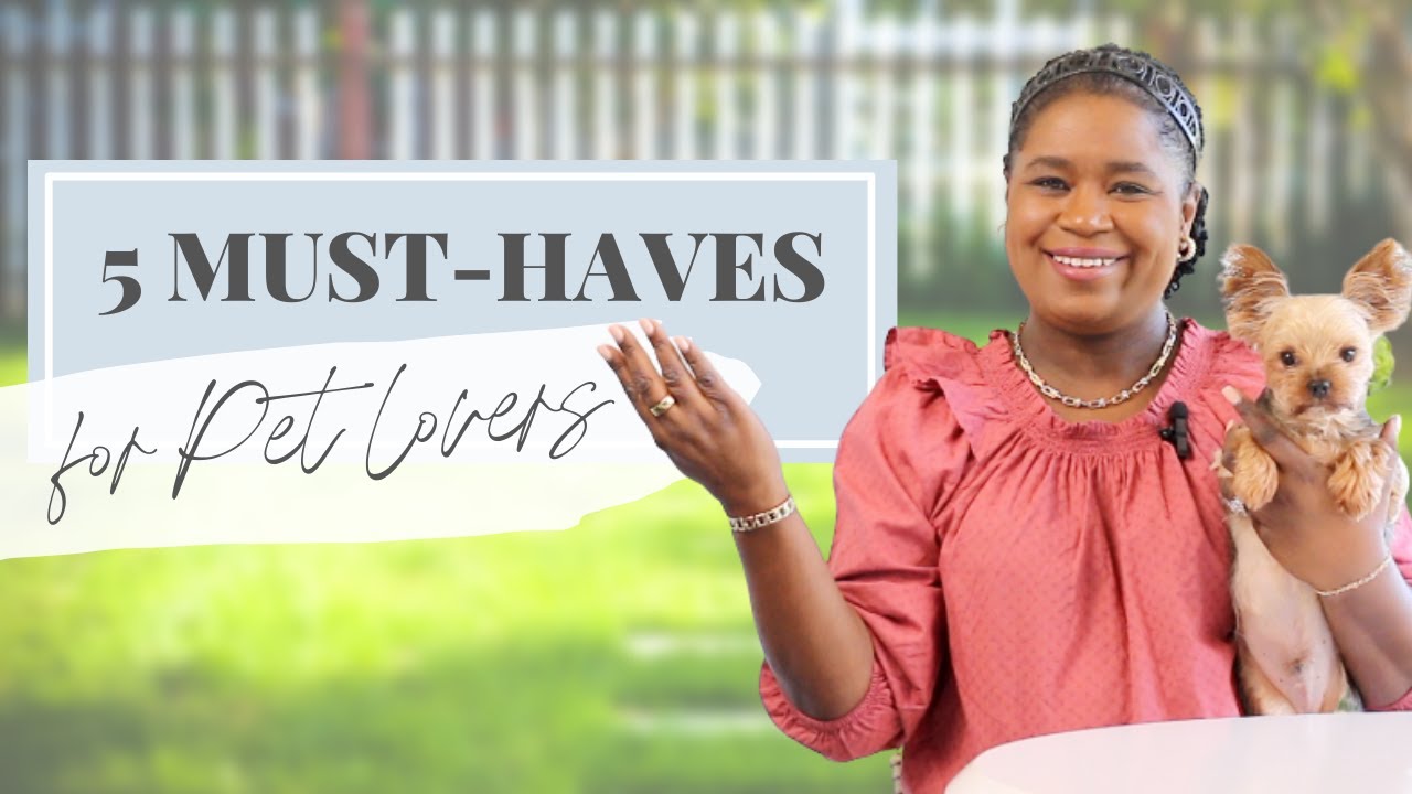 5 Must-Haves for Pet Lovers | Apartment Amenities Perfect for Dogs