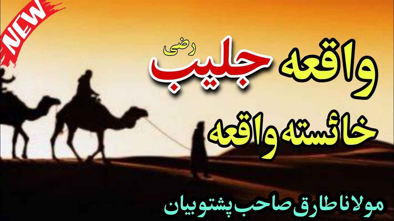 Pashto New Bayan molana Tariq Sahab bayan ( واقعہ جلیب خائستہ واقعہ ) Pashto bayanat bayanat