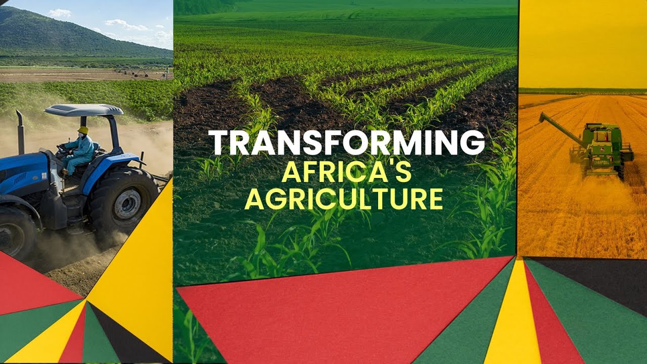 Talk Africa: Transforming Africa's agriculture