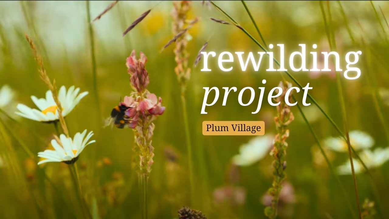 The Plum Village Rewilding Project