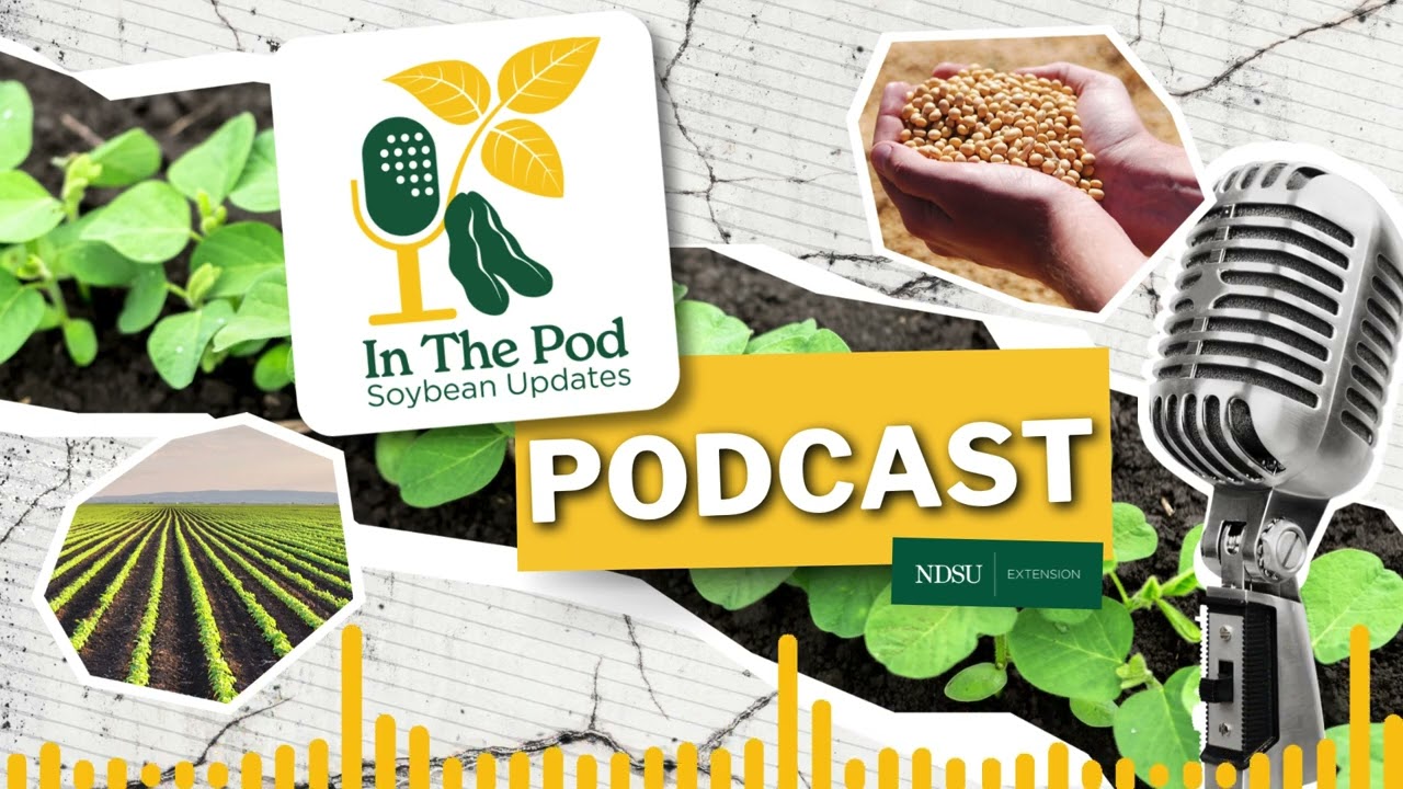 Planting into Green: A New Look at Soybean Soil Health - In the Pod Soybean Update