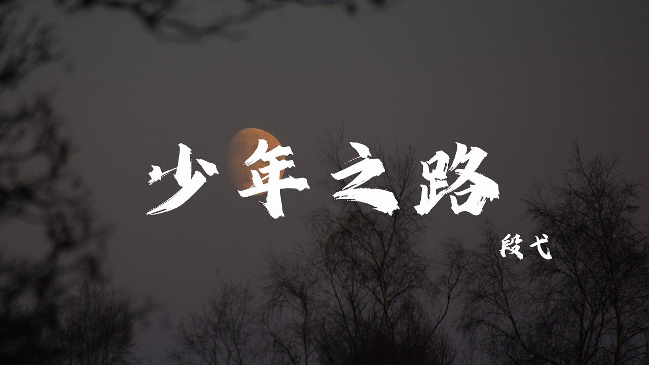 少年之路 - 段弋「wo~阴云密布 坠入低谷 全力以赴」【动态歌词Lyric Video】