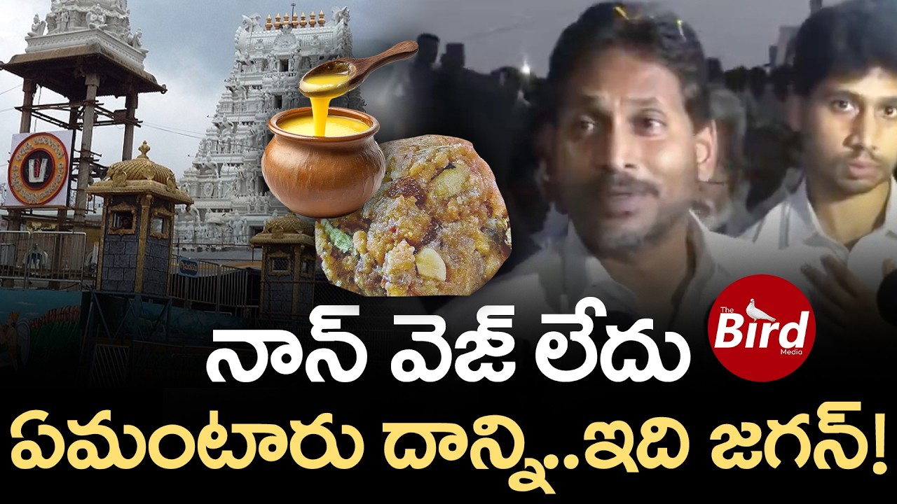 నాన్ వెజ్ లేదు.. ఏమంటారు దాన్ని.. ఇది జగన్! | YS Jagan About Animal Fat & Non-Veg? | BIrd Media |
