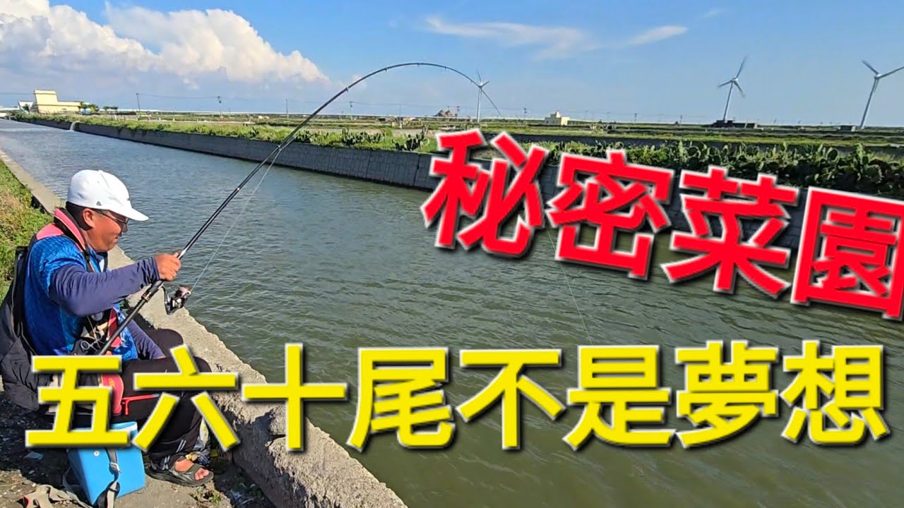 神祕十字點，拉竿定竿咬況不斷😱 Fishing  台湾の釣り 낚시 câucá Taiwan Fishing