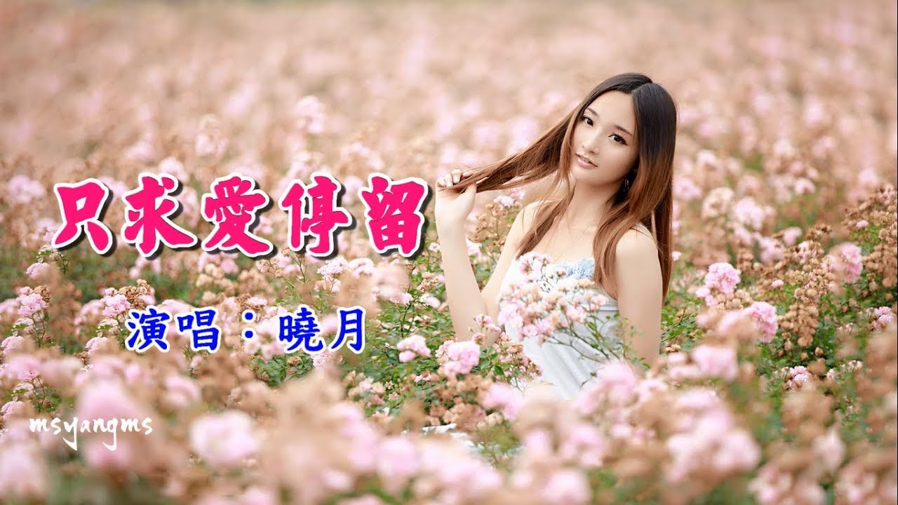 只求愛停留　曉月