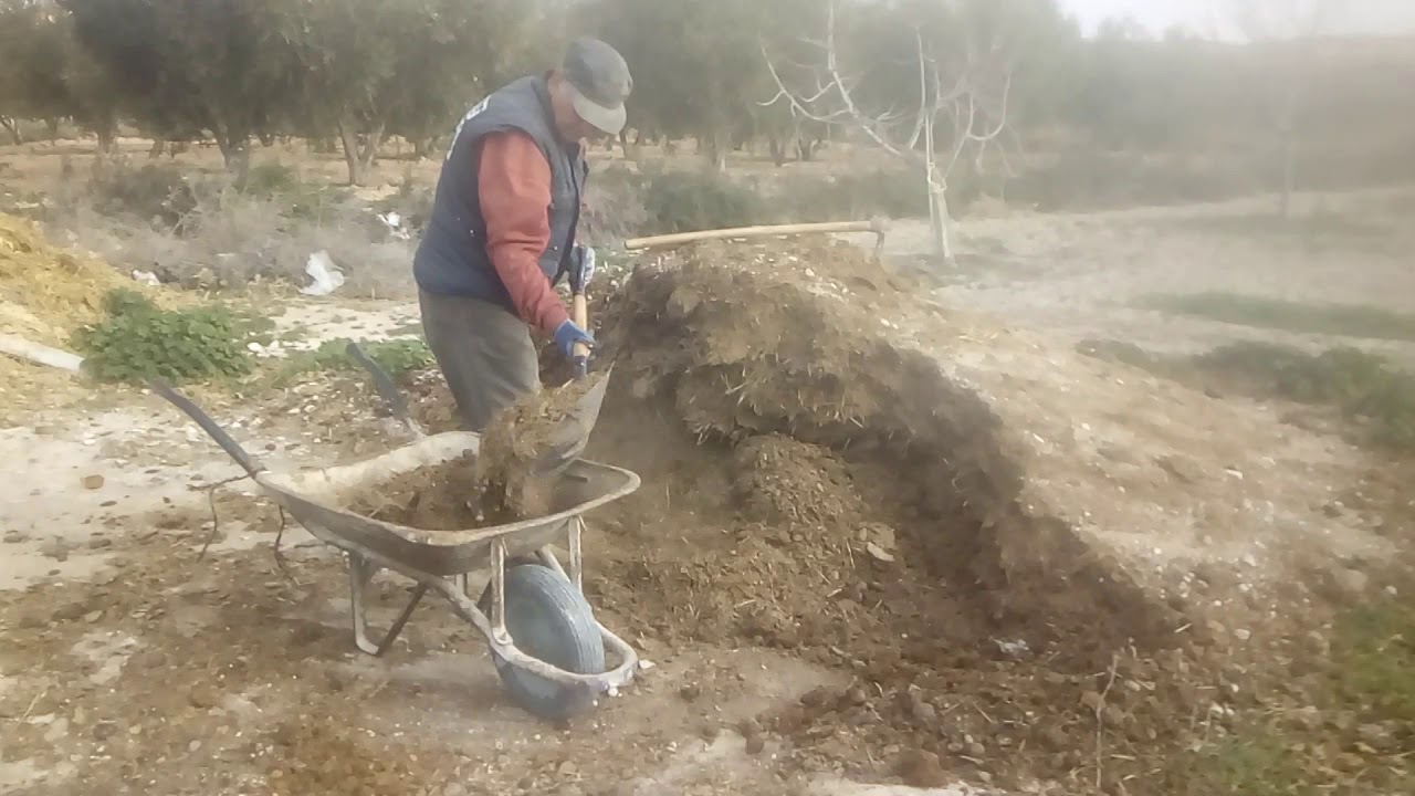 Estiercol en el huerto