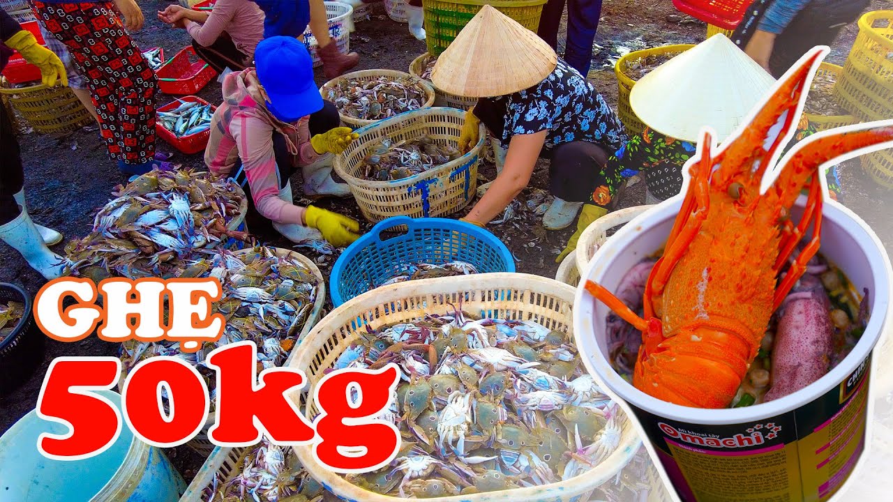 CHỢ CÁ CẢNH DƯƠNG QUẢNG BÌNH | Thiên đường Hải sản tươi ngon giá rẻ