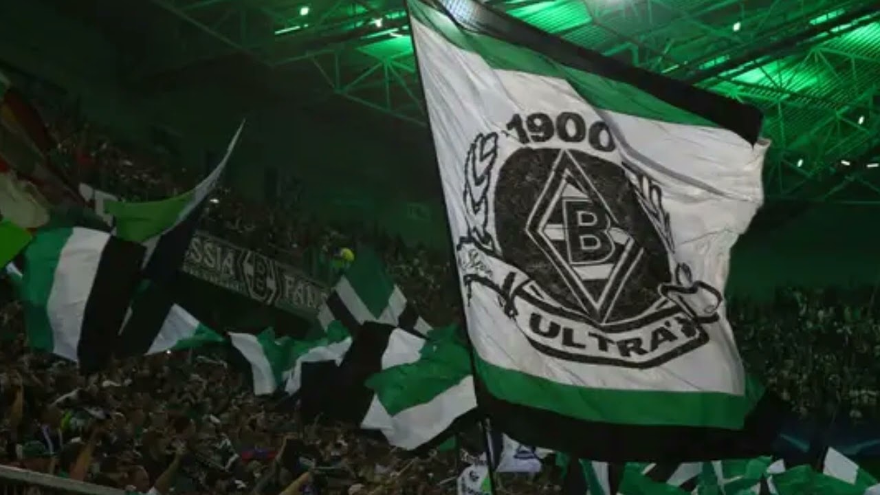 Low Rhine Lander - Wir sind die Fohlen / Borussia Mönchengladbach Hymne Song 2024/25