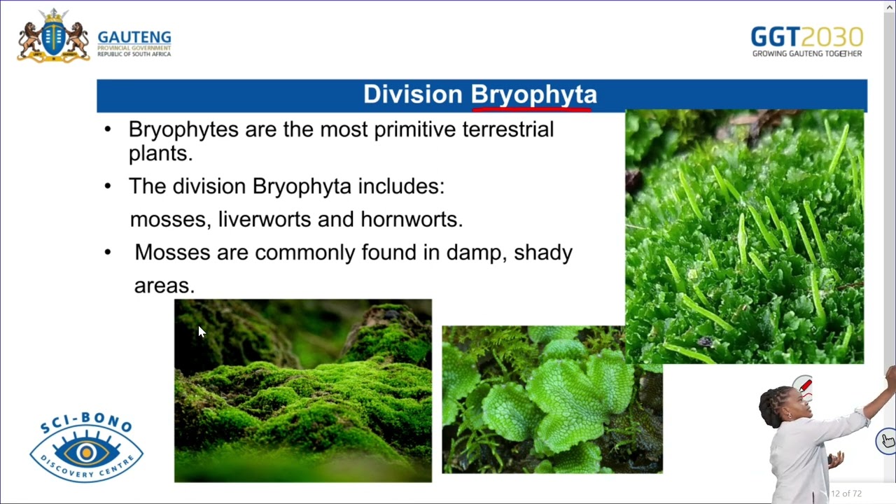 Biodiversity of plants -  Grade 11