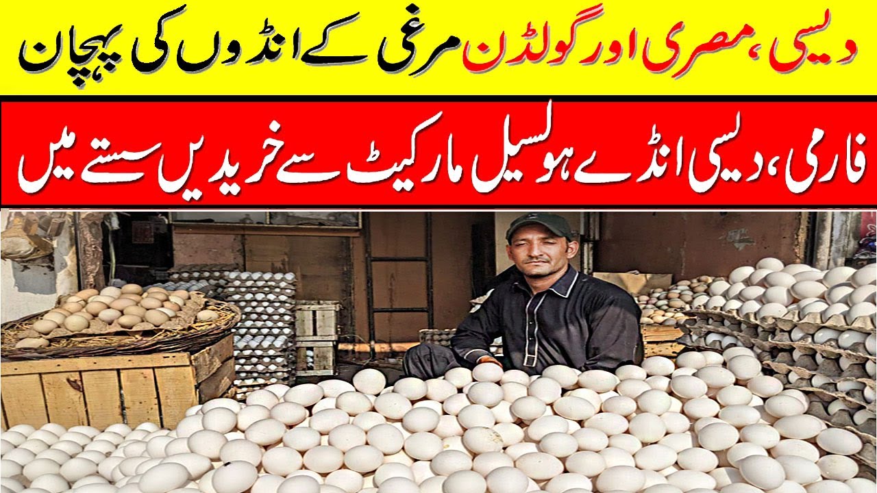 Shahabuddin Market Saddar | Egg Wholesale Market in Karachi | Farm & Desi Egg Price @Shaban2.O.