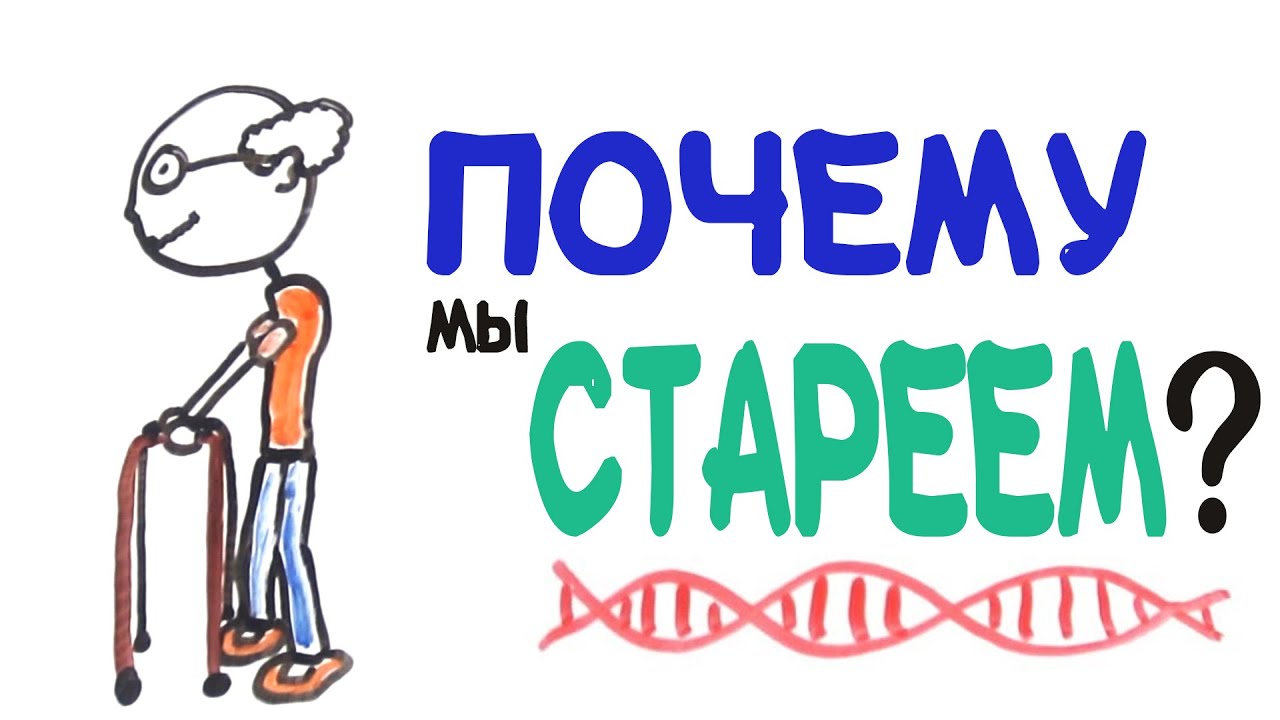 Почему мы стареем? [AsapSCIENCE]