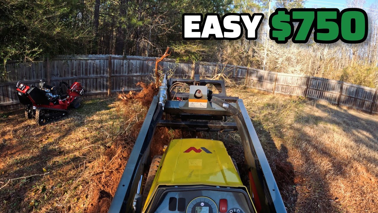 My Small Business Is Rolling In Cash! The Stump Grinder & Mini Skid Was A Very Good Investment
