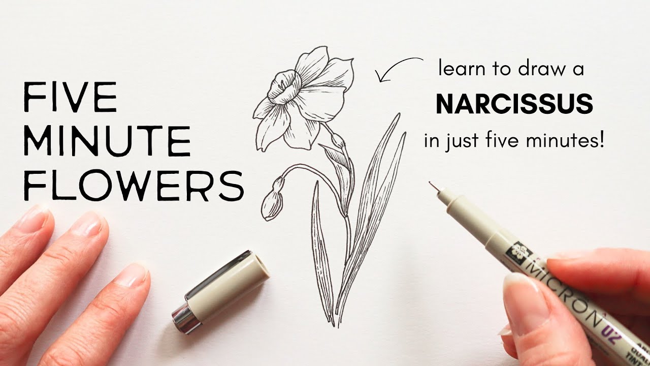Five Minute Flowers | NARCISSUS | real-time drawing tutorial