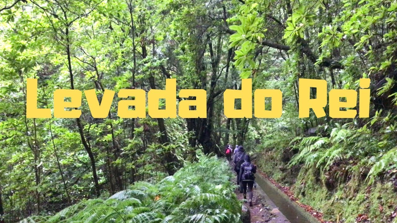 Levada do Rei - WALK OF THE WEEK - Episode 1
