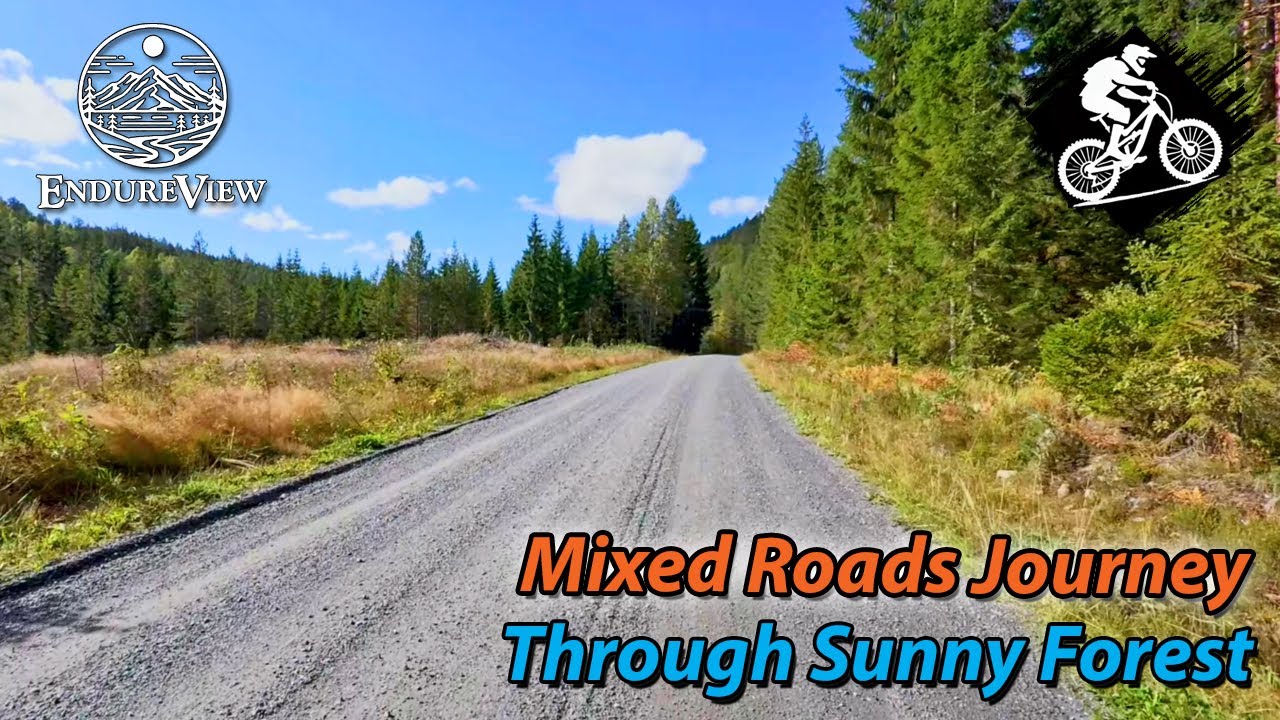 ☀️🌲 Mixed Roads Journey Through Sunny Forest 🚴‍♂️
