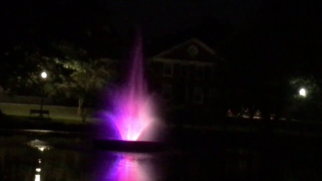 TAPinto Westfield Video: Mindowaskin Pond