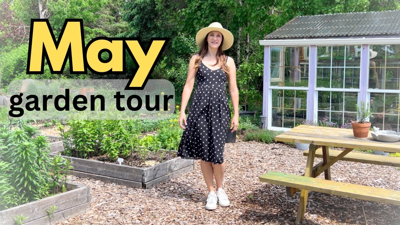 May FULL Garden Tour & Mecanopsis (Blue Poppy) Update!  Zone 6 Cutting Garden