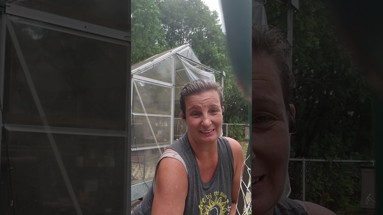 Greenhouse chats: sticky tabs