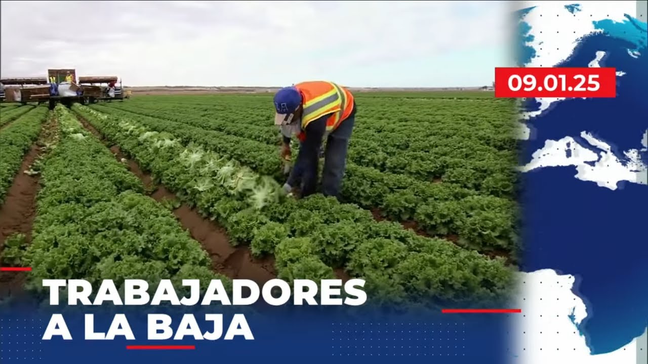 🔵 Más de 1 Millón de empleos de migrantes se han perdido | Cierre de Edición | 1 de Septiembre 2025
