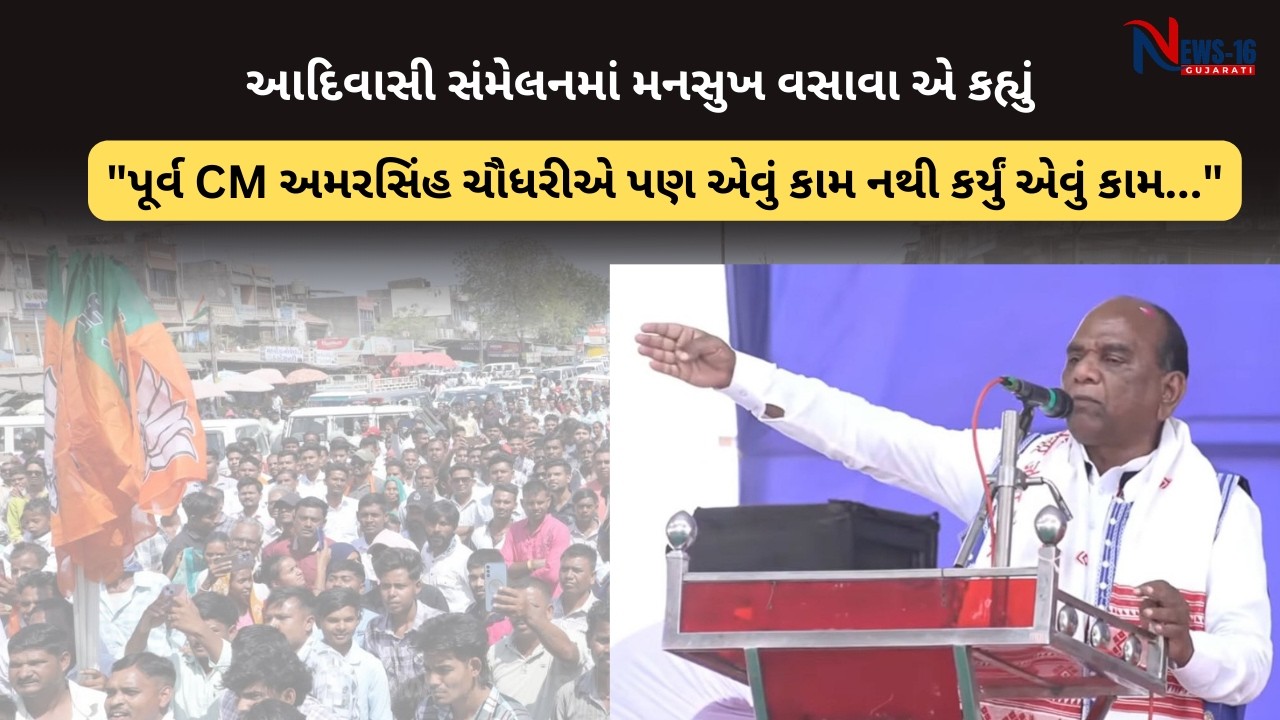 Mansukh Vasava એ કહ્યું 