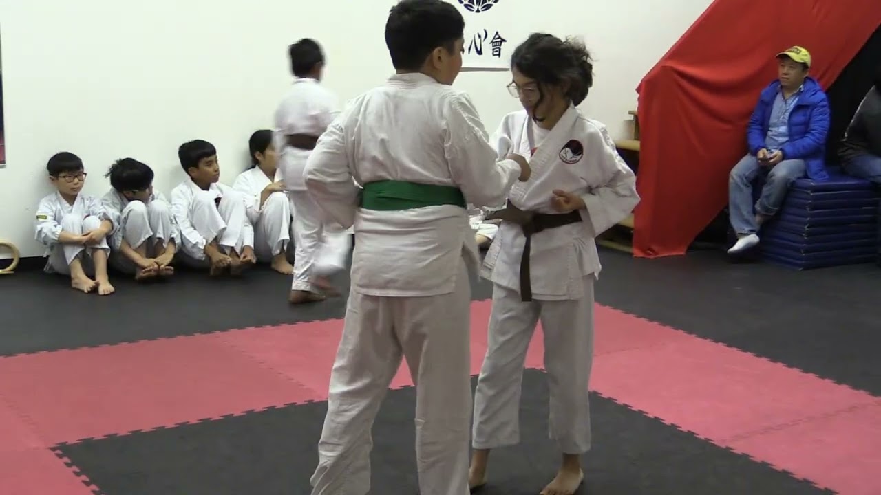 2025 Zanshinkan Karate Christmas Show