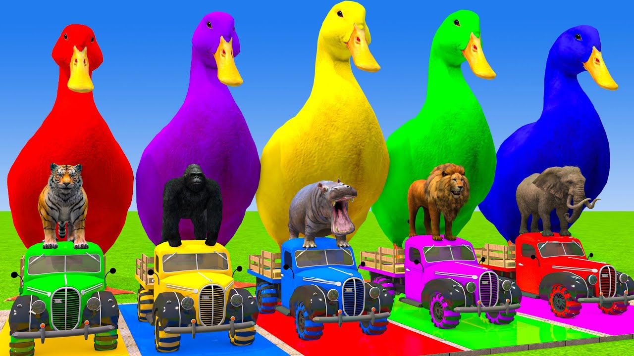 Long Slide Game With Cow Elephant Gorilla Hippopotamus Tiger 3d Animal Game Funny 3d Animals