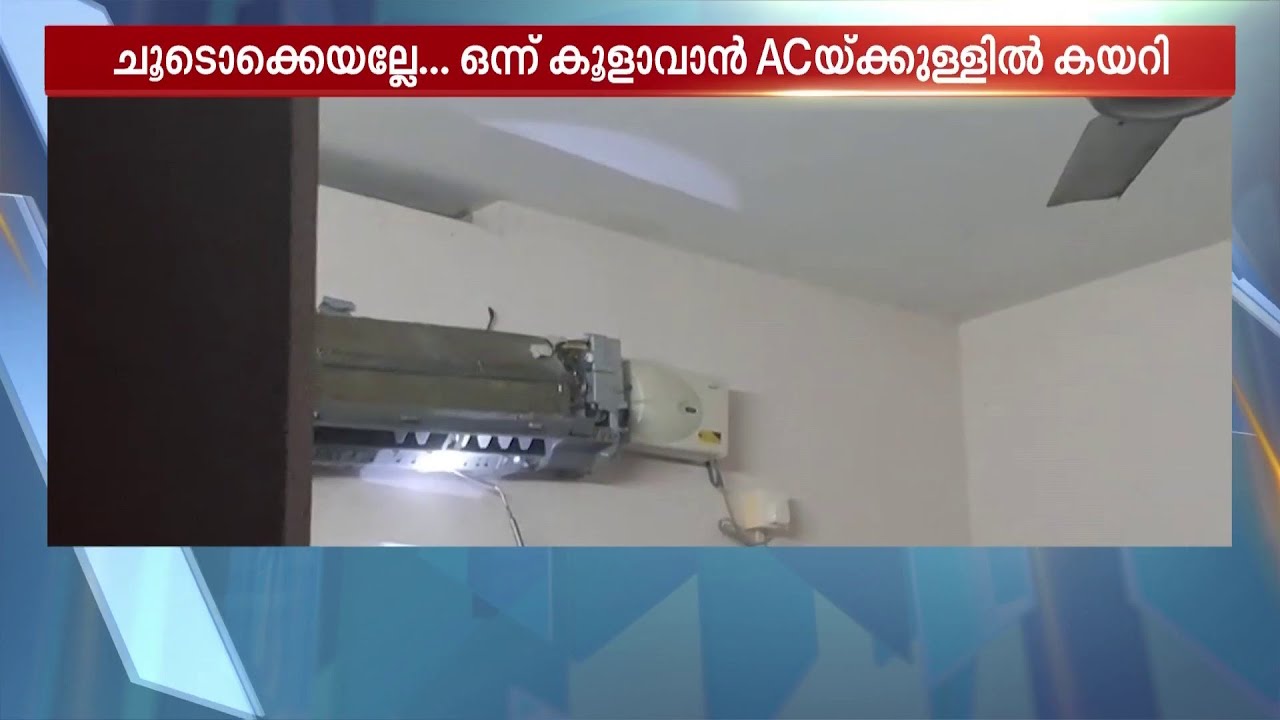 ഒന്ന് കൂളാവാൻ കയറിയതാ... ACക്കുള്ളിൽ സുഖിച്ചിരുന്ന് പാമ്പും കുടുംബവും; കൈയോടെ പൊക്കി വനംവകുപ്പ്