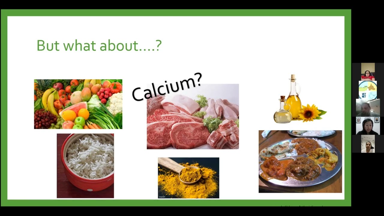 Pet Nutrition