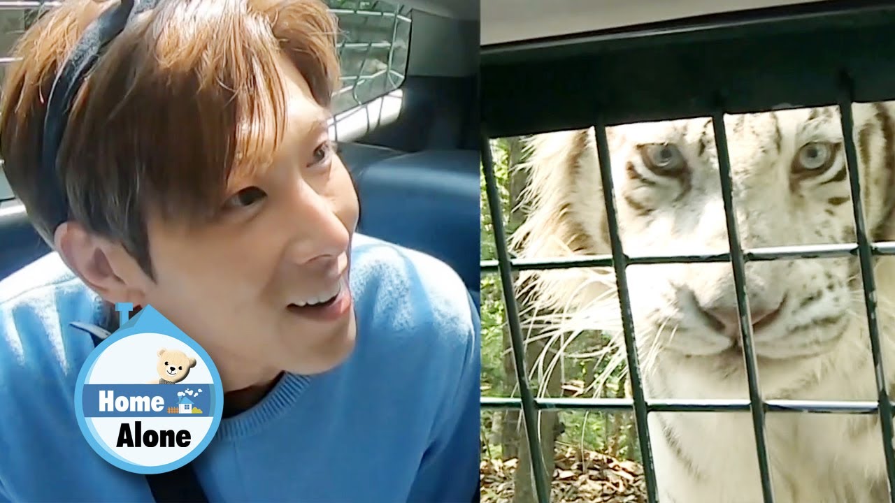 Yunho Really Wanted to go to a Safari Park!! [Home Alone Ep 297]