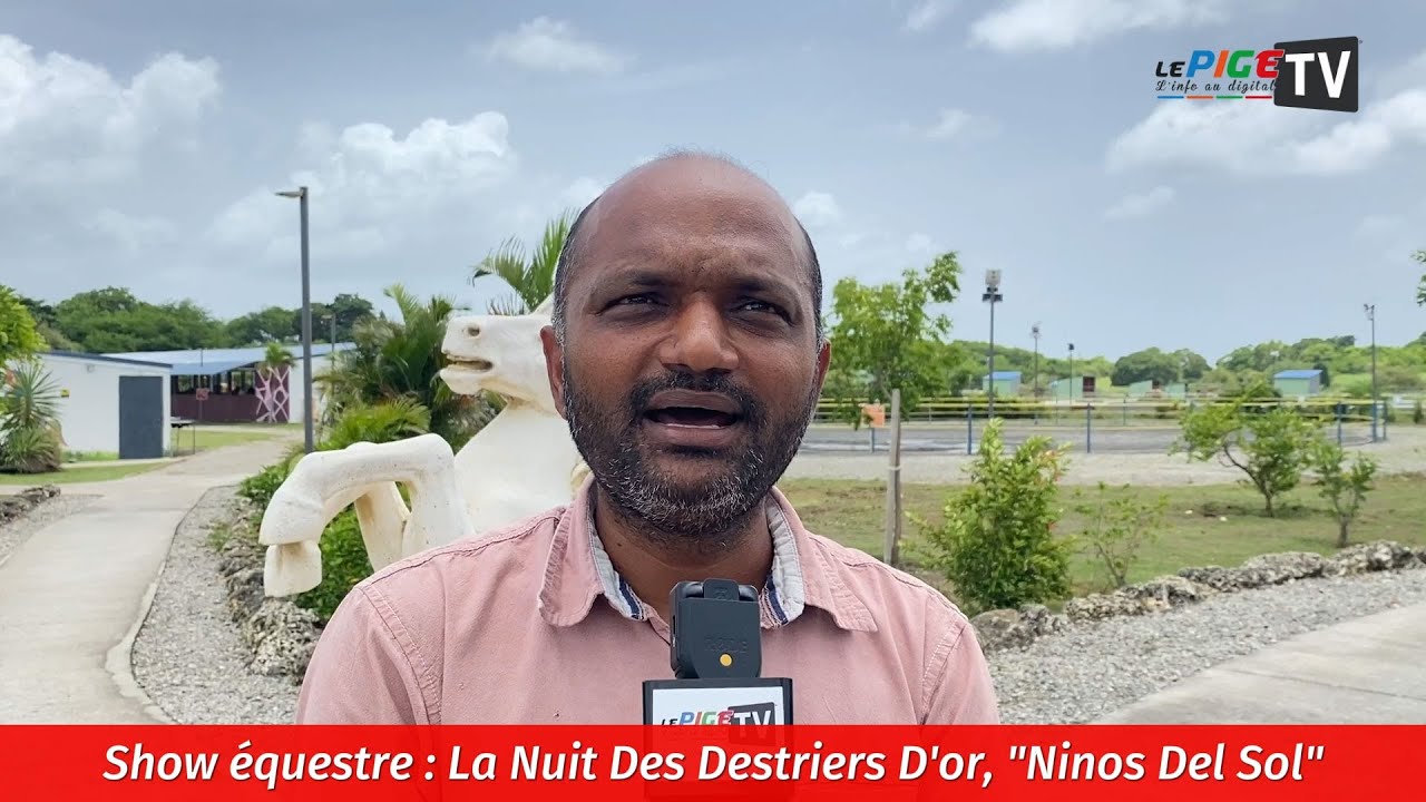 Show équestre : La Nuit des Destriers d'or, 
