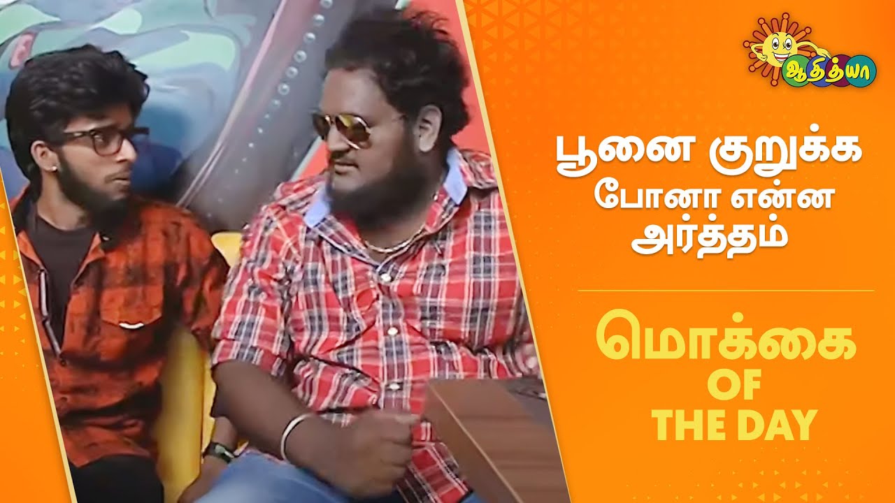 பூனை குறுக்க போனா என்ன அர்த்தம்? | Mokkai of the Day | Adithya TV Throwback