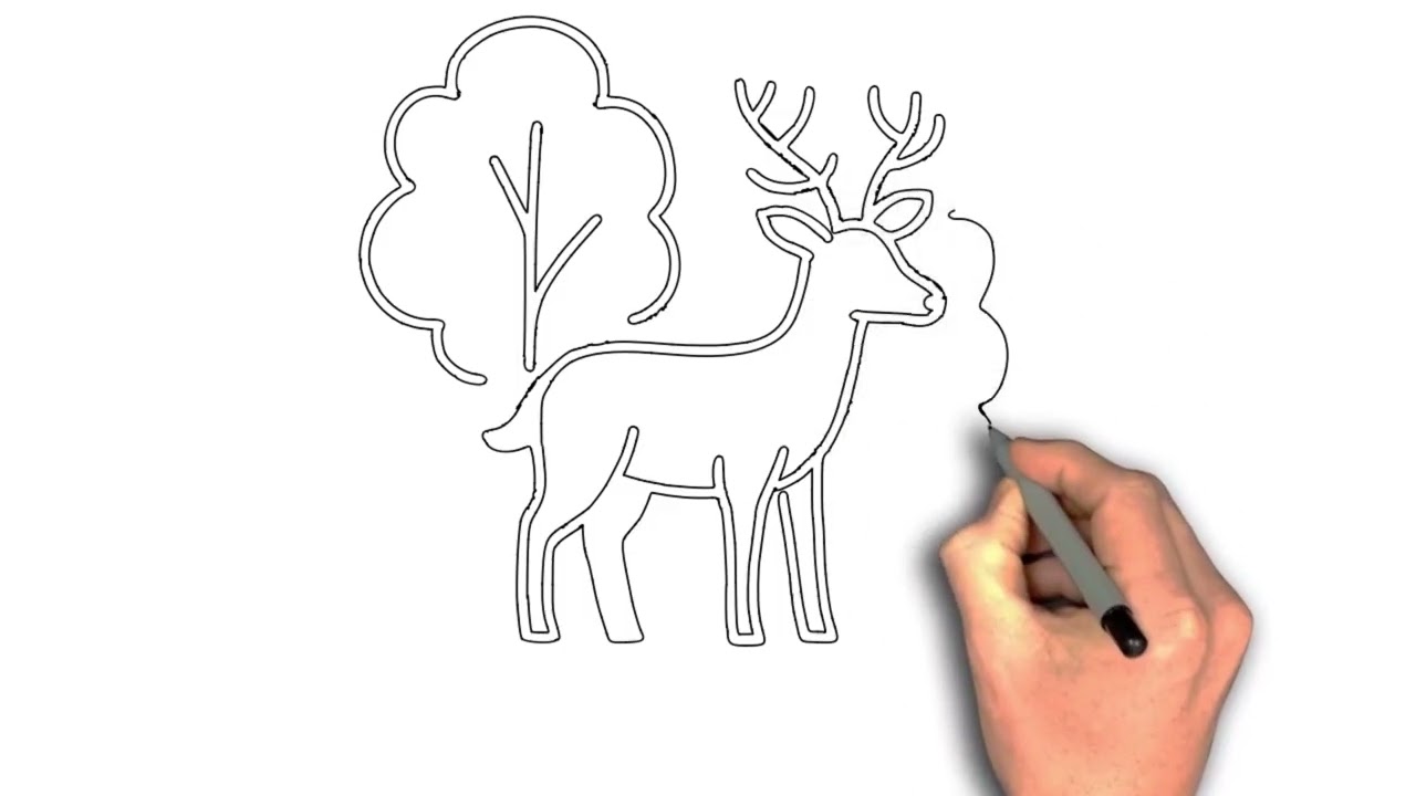 Deer in the forest drawing image, Deer Among Trees – Line Art Guide