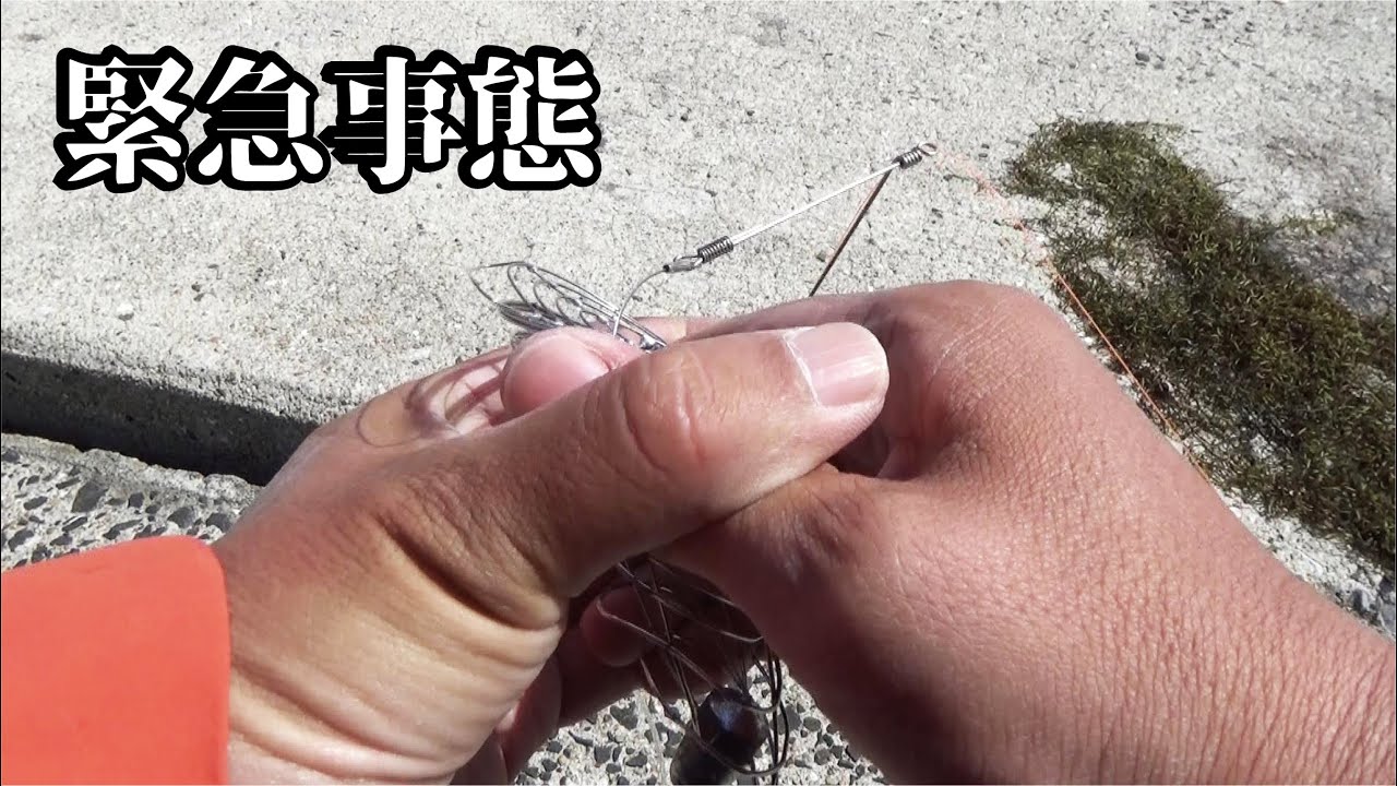 堤防で文句ばっか！自粛に備え巨大魚だけで冷蔵庫をいっぱいにするやり方（692話目）