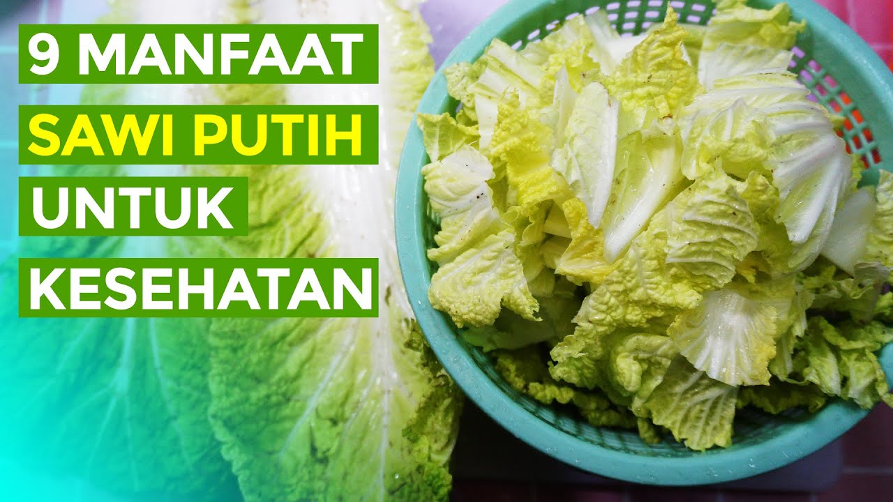 Inilah 9 MANFAAT SAWI PUTIH UNTUK KESEHATAN