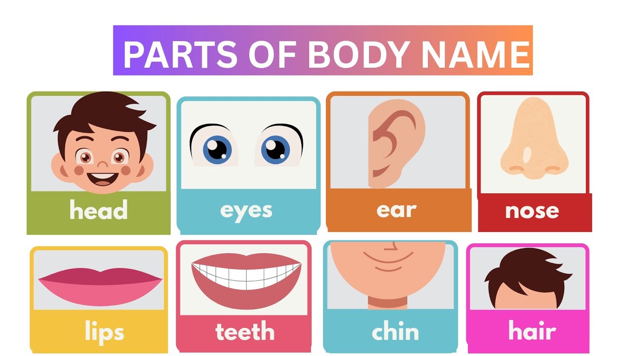 Body Parts Name for Kids | Parts of Body name | Preschool & Nursery rhyme Learning Video