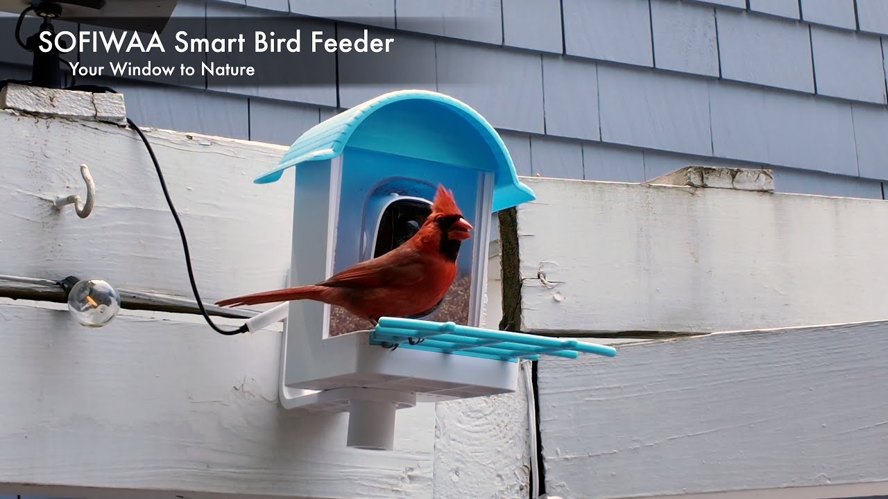 Sofiwaa 2k Bird Feeder with Camera