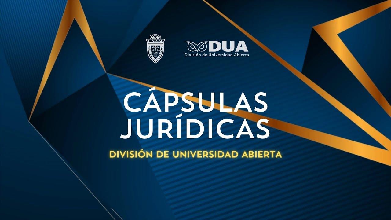Designaci&oacute;n de apoyos extraordinarios