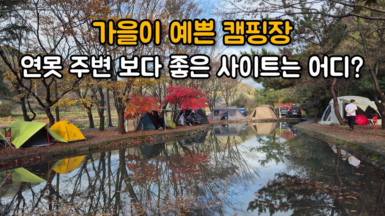 경주 예쁜 캠핑장 명수원 사이트리뷰 명당은?