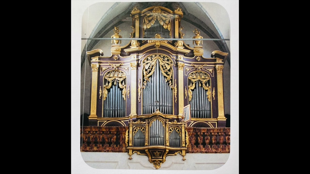 Historische Orgel Dom zu Gurk, Kärnten, Österreich Organist: Mauricio Pergelier