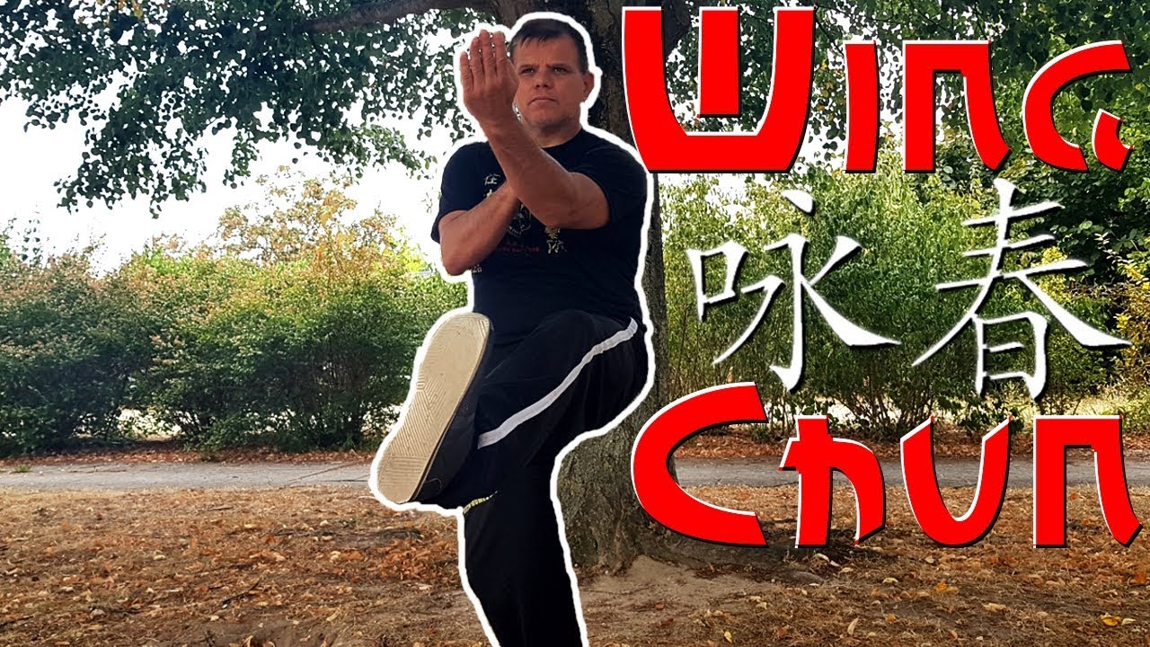 WING CHUN KUNG FU Aprenda Siu Lin Tao parte 1 - Artes Marciais Chinesas