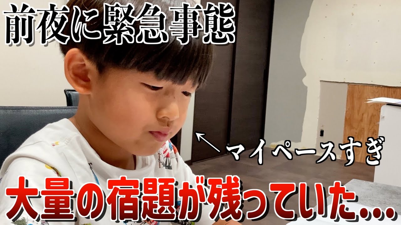 夏休み最終日の20時に宿題をしていないことが発覚。大慌ての夜〜朝が大変すぎた...
