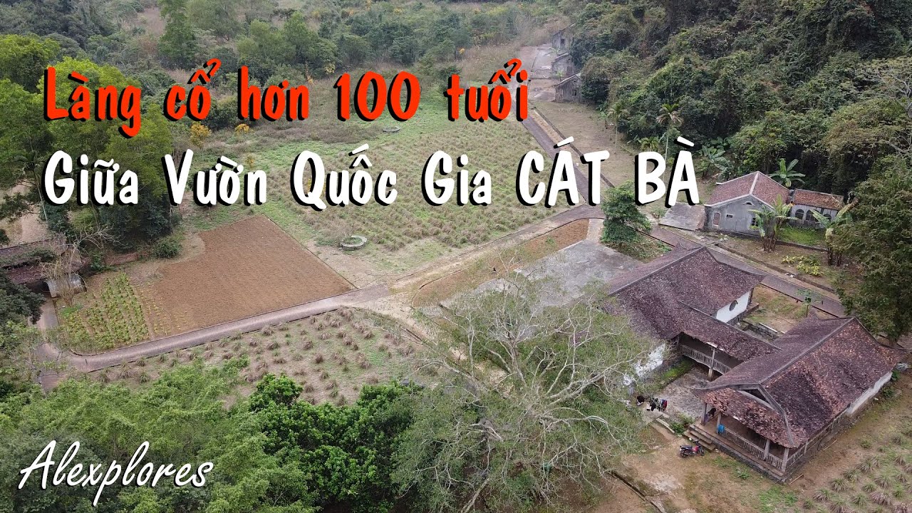 Đi bộ xuyên Vườn Quốc Gia Cát Bà thăm Làng cổ hơn trăm tuổi | Cat Ba Island Trekking
